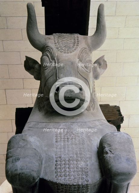 Capital in limestone of the Apadana (audience hall), from the Palace of Darius I at Susa (Elam), …