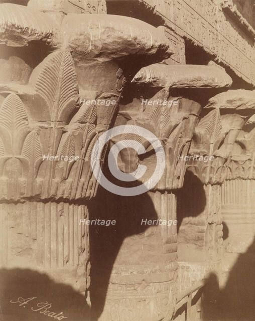 Capitals of the Temple of Esna, between 1860 and 1903. Creator: Antonio Beato.