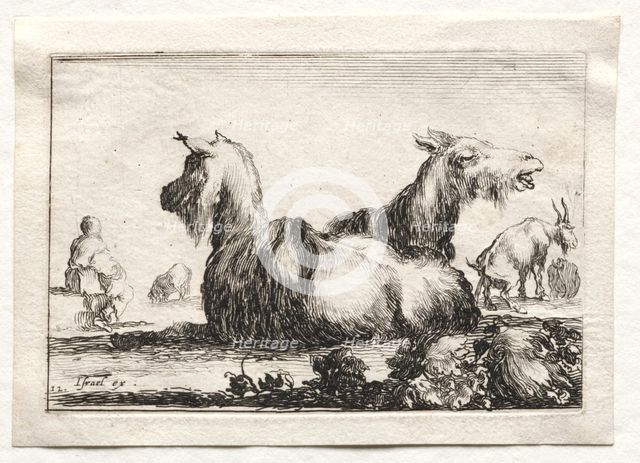 Caprices: Two Goats. Creator: Stefano Della Bella (Italian, 1610-1664).