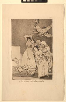 Caprichos: There They Go Plucked (i.e. fleeced). Creator: Francisco de Goya (Spanish, 1746-1828)