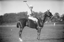 Capt. Thomas [polo], between c1910 and c1915. Creator: Bain News Service