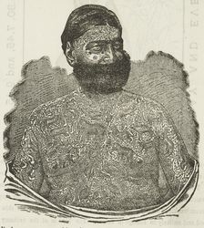 Captain Georges Costententus, The Tattooed Man at the Royal Aquarium, 1881. Creator: Unknown