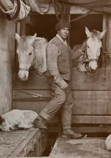 Captain Oates and Ponies on the Terra Nova' c1910-1912, (1913). Creator: Herbert Ponting