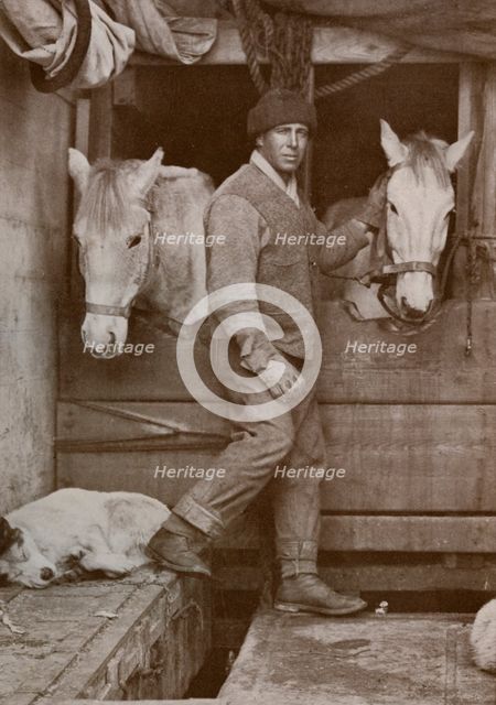 'Captain Oates and Ponies on the 'Terra Nova'', c1910-1912, (1913). Creator: Herbert Ponting.