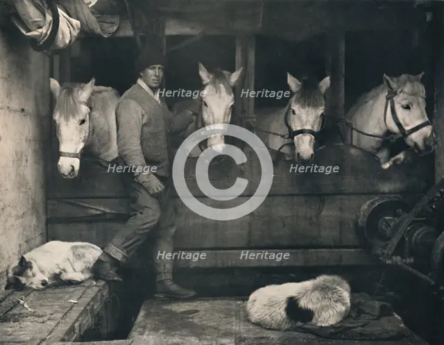 'Captain Oates, on the "Terra Nova" with the Siberian Ponies', c1911, (1914).  Creator: Herbert Ponting.