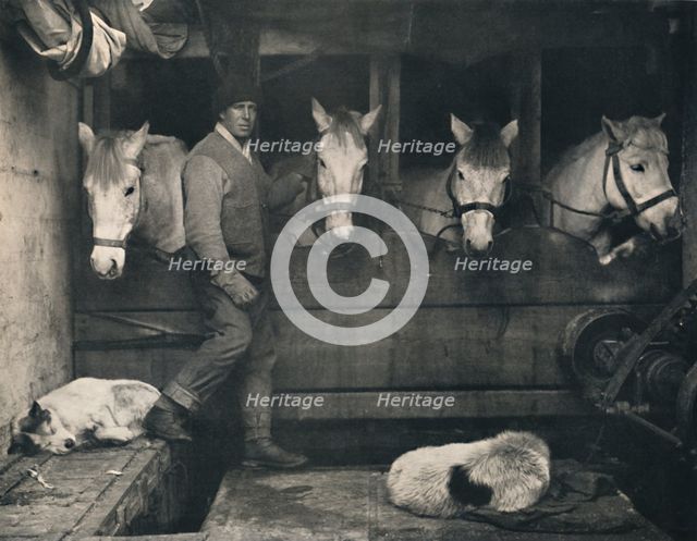 'Captain Oates, on the "Terra Nova" with the Siberian Ponies', c1911, (1914).  Creator: Herbert Ponting.