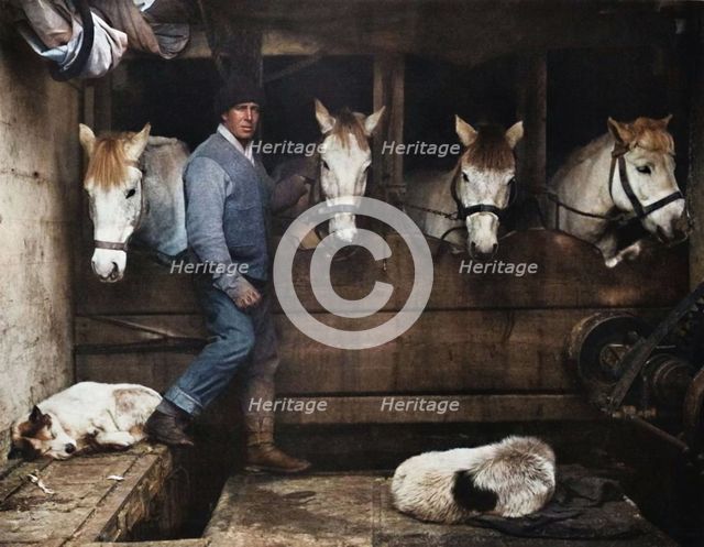 'Captain Oates, on the "Terra Nova" with the Siberian Ponies', c1911, (1914).  Creator: Herbert Ponting.