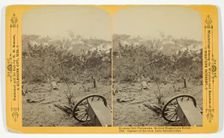 Capture of the Gun, Lady Breckinridge, 1889. Creator: Henry Hamilton Bennett