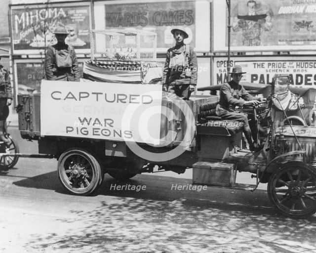'Captured German War Pigeons', Fort Sheridan, Illinois, USA, 1915. Artist: Unknown