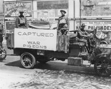 Captured German War Pigeons Fort Sheridan, Illinois, USA, 1915