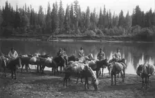 Caravan with Bread for the Expedition, Near the Ust'-Kabyrza Ulus, 1913. Creator: GI Ivanov