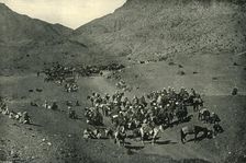 Caravan Passing Through the Khyber Pass 1901. Creator: Bourne & Shepherd