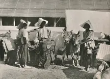 Caravan Scene with Shans at Bhamo 1900. Creator: Unknown