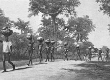'Caravane de porteurs Senoufos; L'Ouest Africain 1914. Creator: Unknown