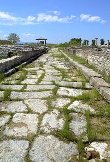 Cardo Maximus, Dion, Greece. Artist: Samuel Magal