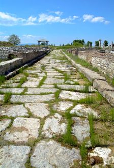 Cardo Maximus, Dion, Greece. Creator: Samuel Magal