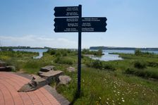 Cardiff, Wetlands Reserve, 2009. Creator: Ethel Davies