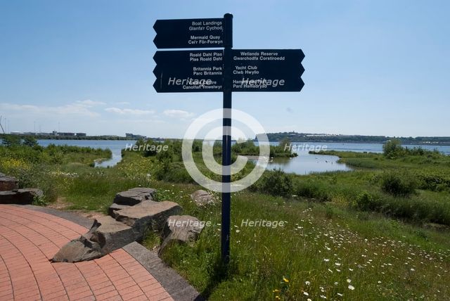 Cardiff, Wetlands Reserve, 2009. Creator: Ethel Davies.