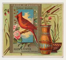 Cardinal Grosbeak, from the Birds of America series (N37) for Allen & Ginter Cigarettes, 1888. Creator: Allen & Ginter