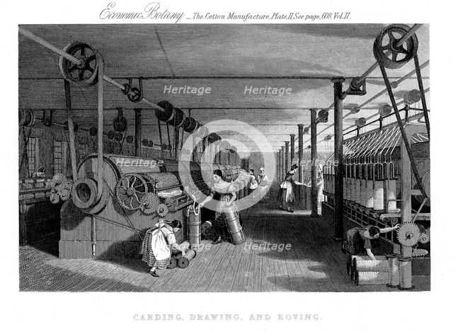 Carding, drawing and roving cotton, c1830. Creator: Unknown.