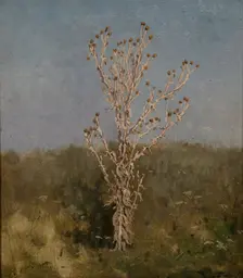 Carduus (plumeless thistles), 1885. Creator: Jan Stanislawski
