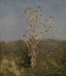 Carduus (plumeless thistles), 1885. Creator: Jan Stanislawski