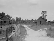 Careyville, northern Florida, 1937. Creator: Dorothea Lange