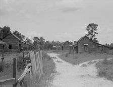 Careyville, northern Florida, 1937. Creator: Dorothea Lange