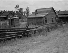 Careyville, northern Florida, 1937. Creator: Dorothea Lange