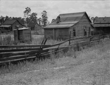 Careyville, northern Florida, 1937. Creator: Dorothea Lange