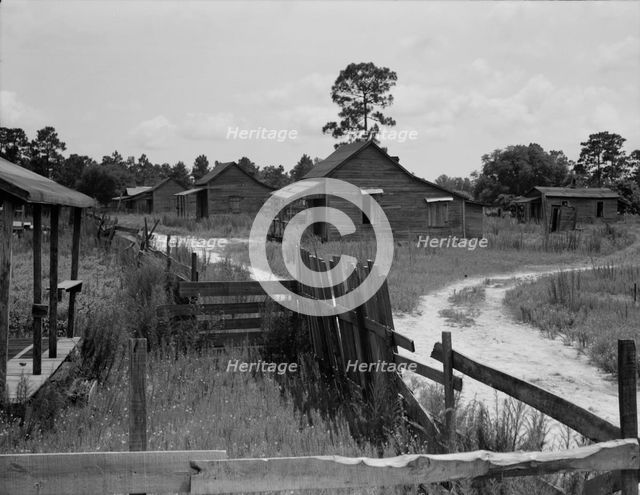 Careyville, northern Florida, 1937. Creator: Dorothea Lange.