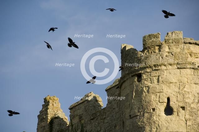 Carisbrooke Castle, Isle of Wight, c1980-c2017. Artist: Historic England Staff Photographer.