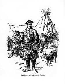 Carolus Linnaeus, 18th century Swedish botanist, physician and zoologist, (20th century)