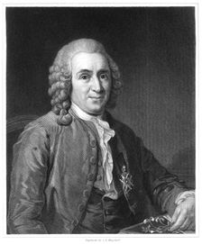 Carolus Linnaeus, 18th century Swedish naturalist, 1835. Creator: Unknown