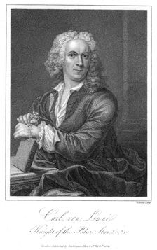 Carolus Linnaeus, 18th century Swedish naturalist. Creator: W Evans