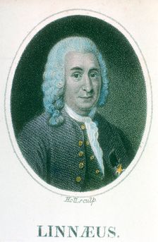 Carolus Linnaeus, 18th century Swedish naturalist, early 19th century. Creator: Unknown