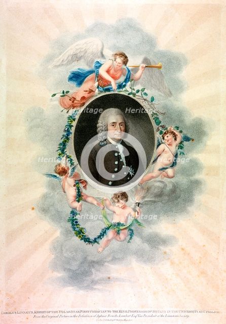 Carolus Linnaeus, Swedish naturalist and physician, 1807. Creator: Unknown.