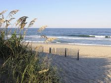 Carolina Contentment. Creator: Eve Turek