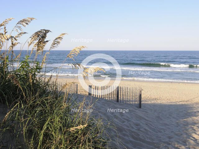 Carolina Contentment. Creator: Eve Turek.