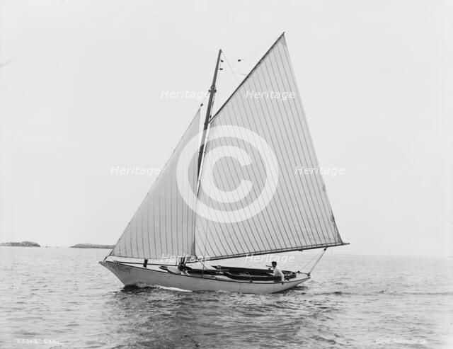 Carl, between 1880 and 1899. Creator: Unknown.