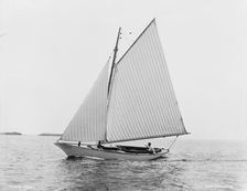 Carl, between 1880 and 1899. Creator: Unknown