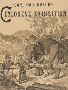 Carl Hagenbeck's Ceylonese Exhibition, 1886. Creator: Unknown
