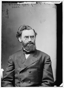 Carl Schurz of Missouri, between 1865 and 1880. Creator: Unknown