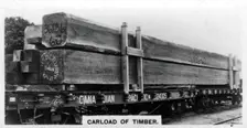 Carload of Douglas fir, Canada, c1920s