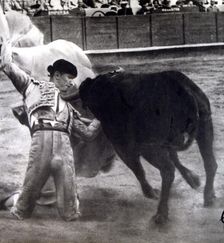 Carlos Arruza, Mexican bullfighter (1920-1966)