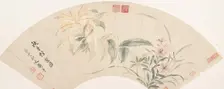 Carnations and Amaranthus. Creator: Yun Shouping
