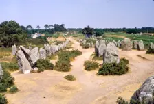 Carnac, Brittany Alignments at Kermario, c20th century. Artist: CM Dixon