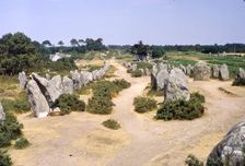 Carnac, Brittany Alignments at Kermario, c20th century. Artist: CM Dixon