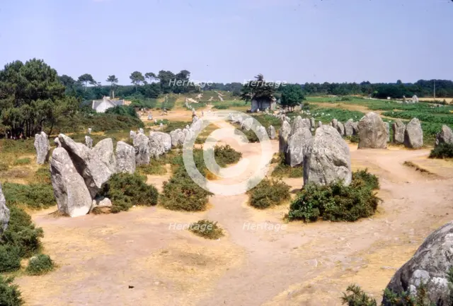 Carnac, Brittany Alignments at Kermario, c20th century. Artist: CM Dixon.