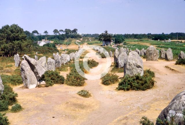 Carnac, Brittany Alignments at Kermario, c20th century. Artist: CM Dixon.